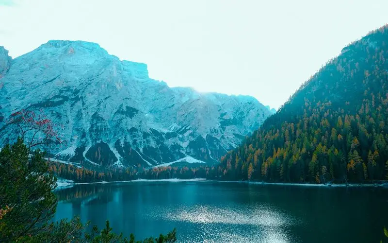 高效可靠性